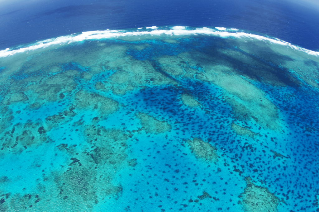 LA GRANDE BARRIÈRE DE CORAIL, Australie