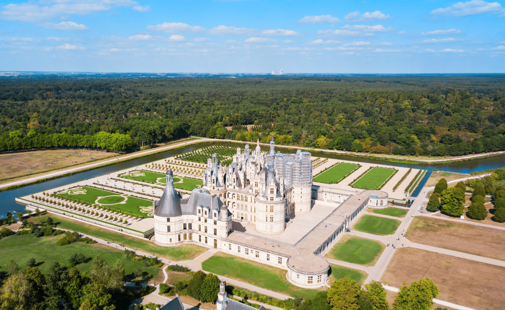 La forêt de Chambord