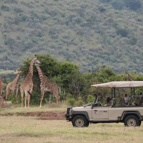 Saruni Wild kenya