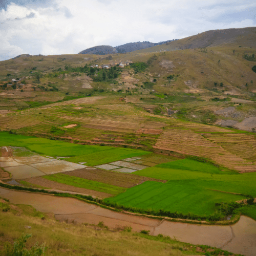 Ambalavao Fianarantsoa Madagascar