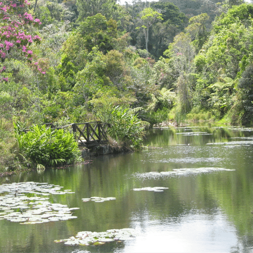 Analamazaotra Madagascar