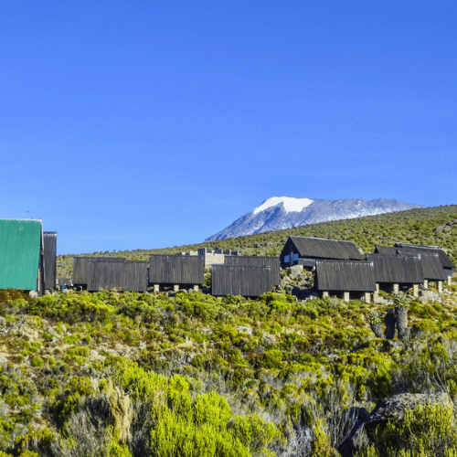 Porte Marangu tanzanie