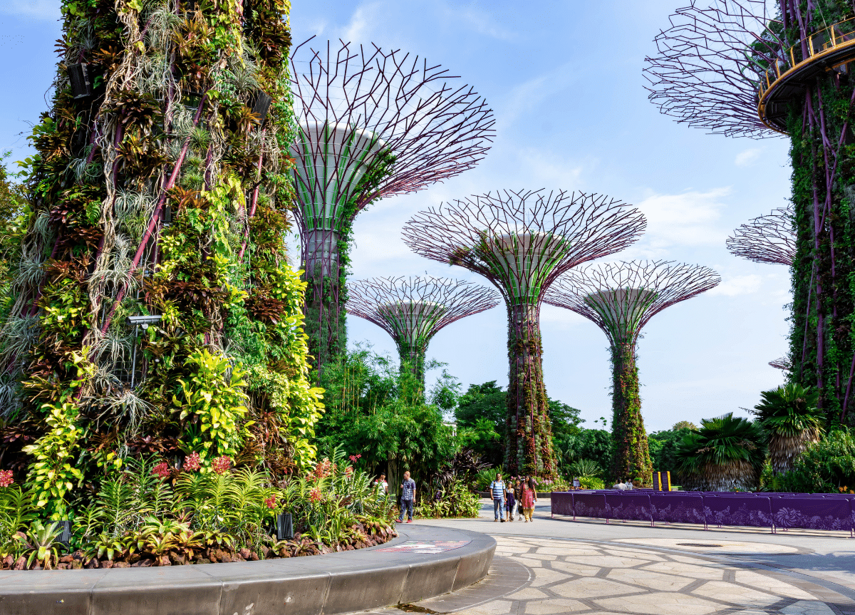 Singapour garden