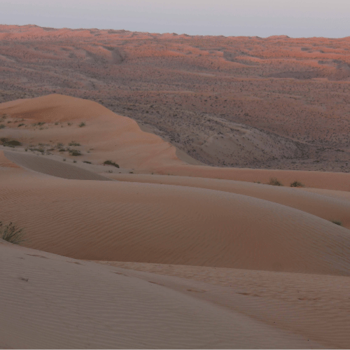 Wahiba Sands Oman (1)