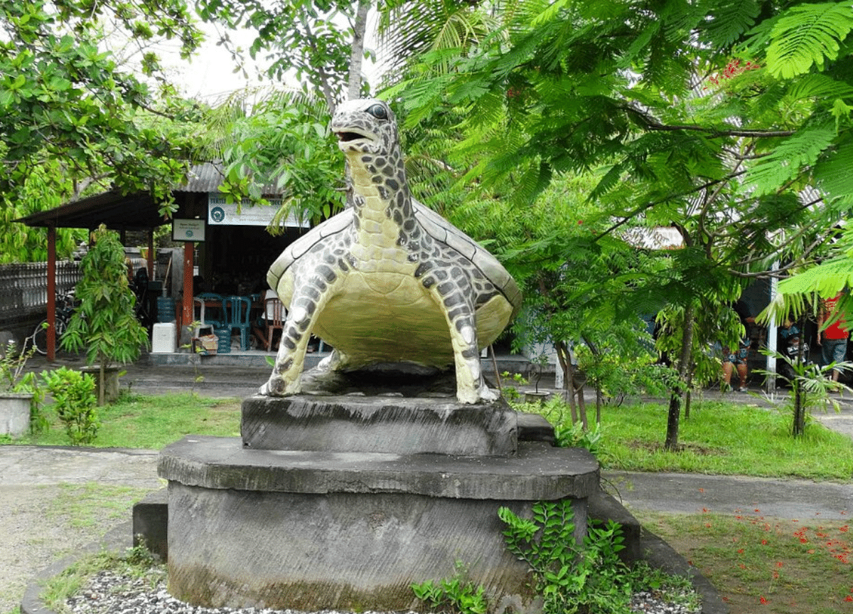 centre de conservation tortue Bali