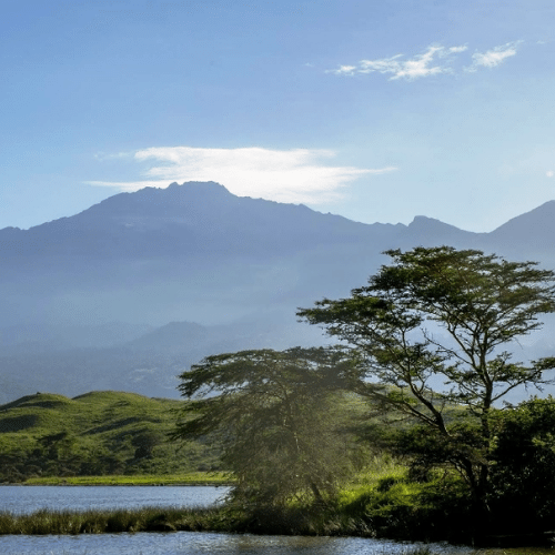 parc national d'arusha Tanzanie (1)