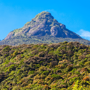 Adam’s Peak Sri Lanka