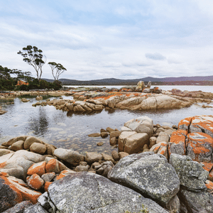 BAIE DES INCENDIES Tasmanie