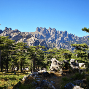 Bavella, Corse