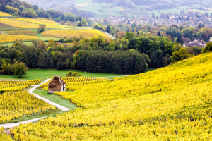 Bourgogne - Franche Comté, France