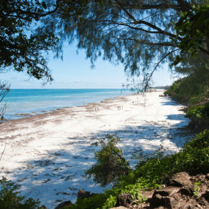 Diani Kenya