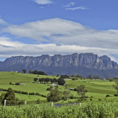 Great Western Tiers Tasmanie