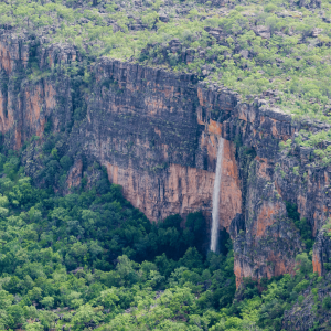 Kakadu Australia