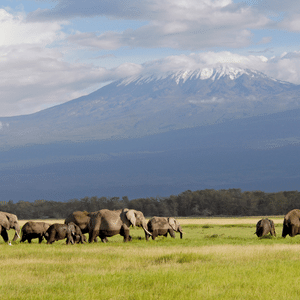 Kilimandjaro Tanzania