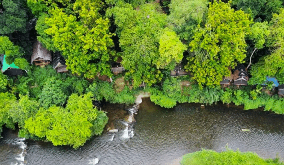 Kitulga Sri Lanka