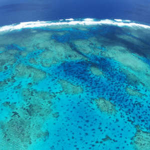 LA GRANDE BARRIÈRE DE CORAIL, Australie