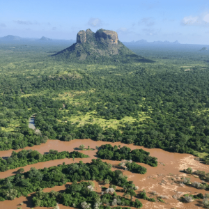 La Réserve de Niassa