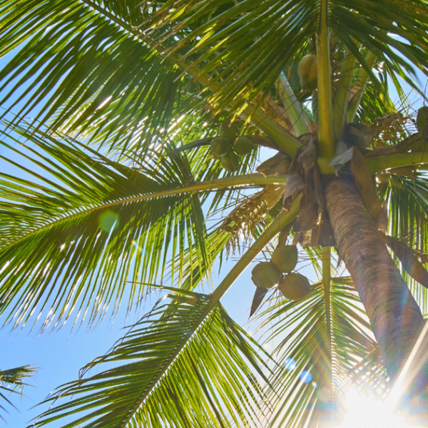 La Réunion