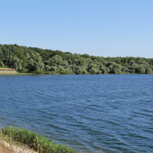 Lac de Der, Grand est