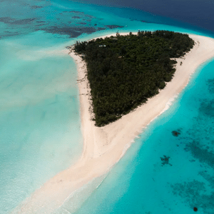 L’atoll de Mnemba Zanzibar