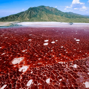 Le Lac Natron en Tanzanie