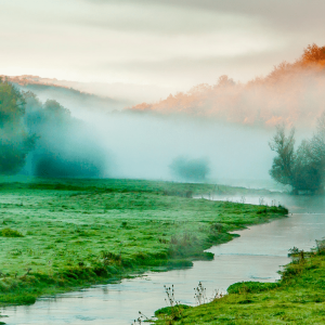 Le Parc National des forêts en Champagne et Bourgogne