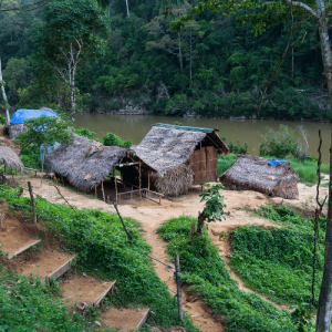 Le Parc national de Taman Negara