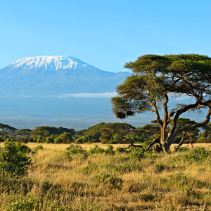 Le parc national d'Amboseli et le pied du Kilimandjaro