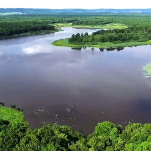 Le parc naturel régional de Lorraine Grand est