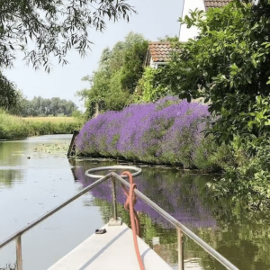 Les marais de Saint-Omer, Hauts de France