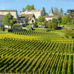 Les vignes du Bordelais, Nouvelle Aquitaine