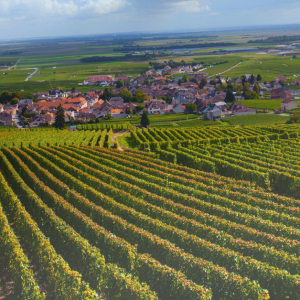 Les vignobles de Bourgogne