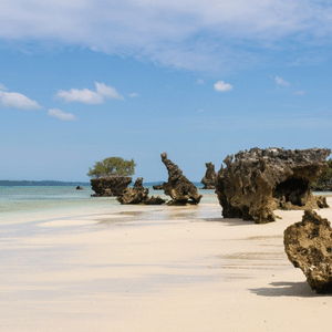 L’île de Pemba Zanzibar