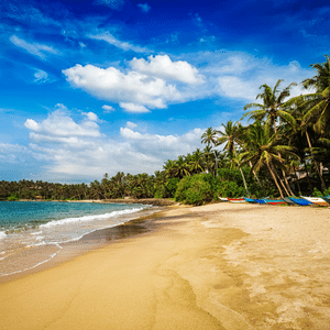 Mirissa Sri Lanka (1)