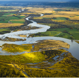 Réserve naturelle du Val d’Allier