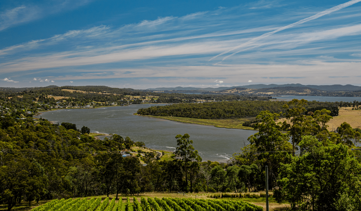 Route des vins Tasmanie