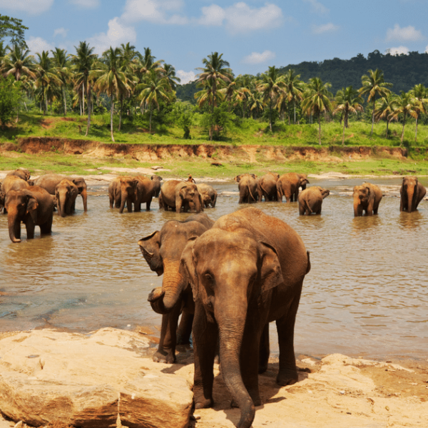 Sri Lanka