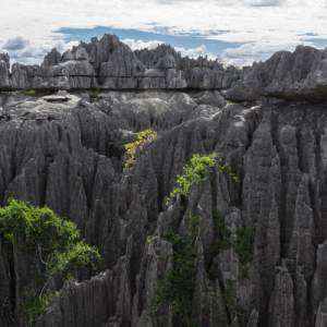 Tsingy Bemaraha