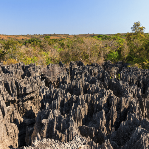 Tsingy Madagascar