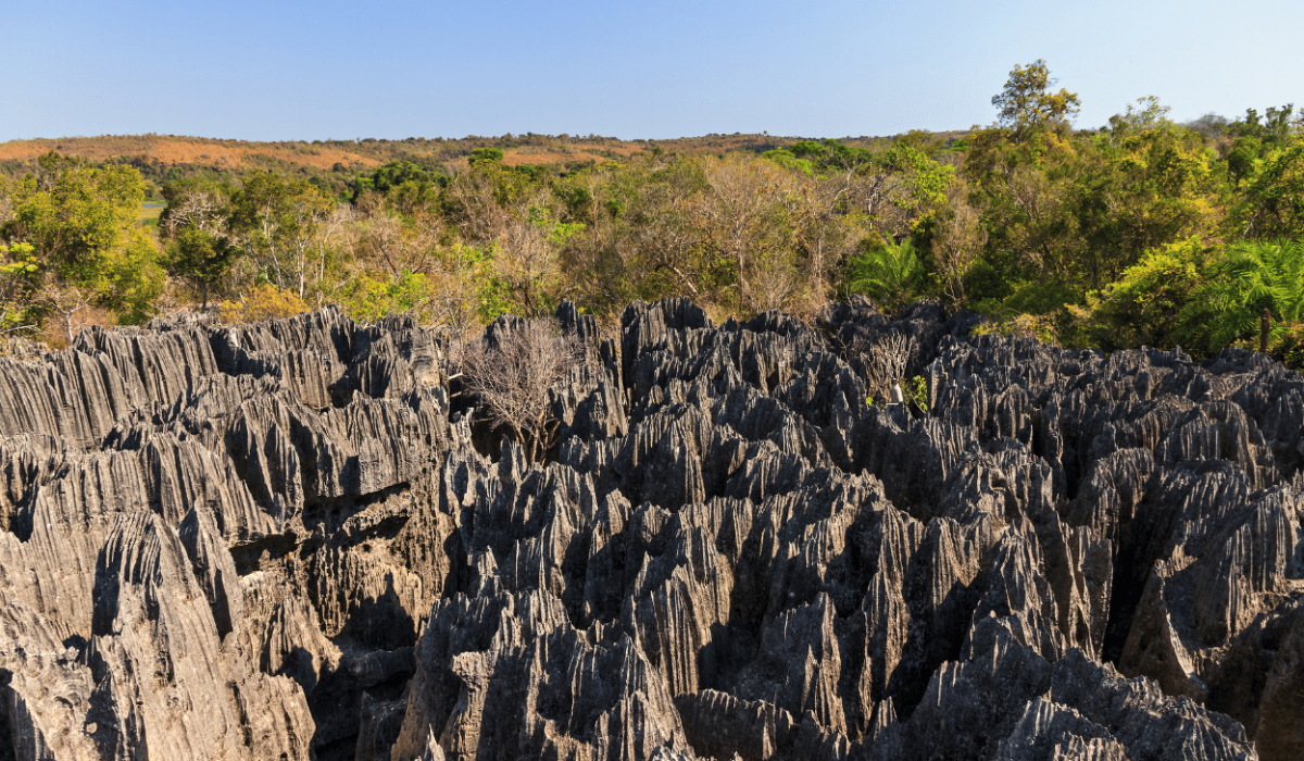 Tsingy Madagascar