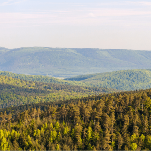 Vosges, Grand Est (1)