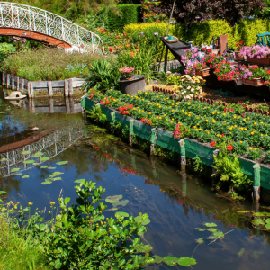 _hortillonnages d'Amiens, hauts de France