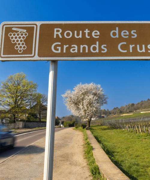 la Route des Grands Crus