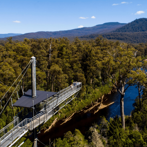 tahune airwalk tasmania