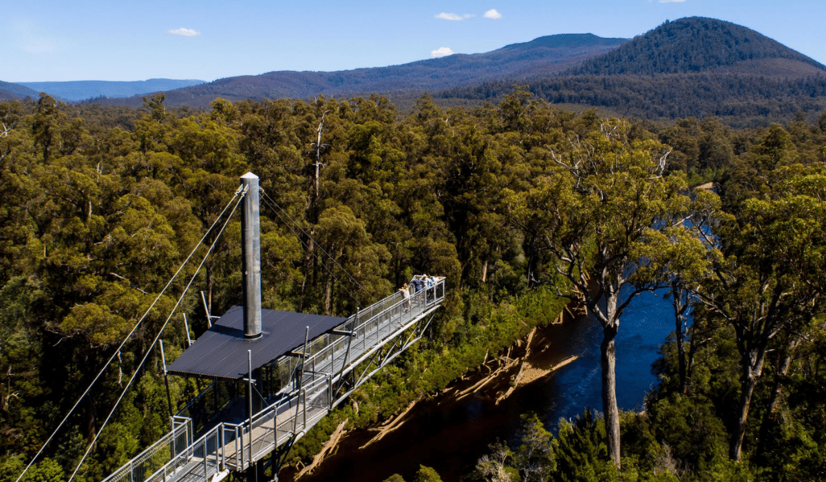 tahune airwalk tasmania